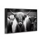 Stupell Industries Black & White Highland Cows Framed Giclee Wall Art Design by Franklyn Gregory